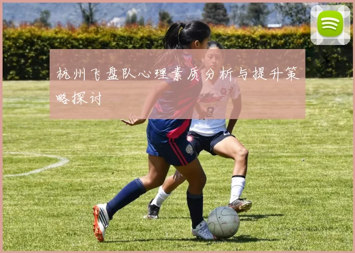 杭州飞盘队心理素质分析与提升策略探讨