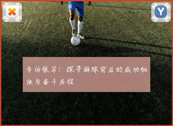 专访张芳：探寻排球背后的成功秘诀与奋斗历程