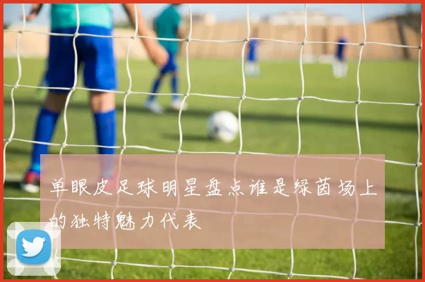 单眼皮足球明星盘点谁是绿茵场上的独特魅力代表