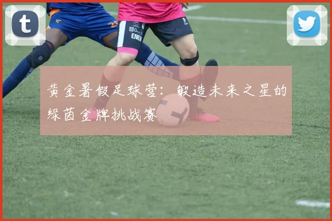 黄金暑假足球营：锻造未来之星的绿茵金牌挑战赛