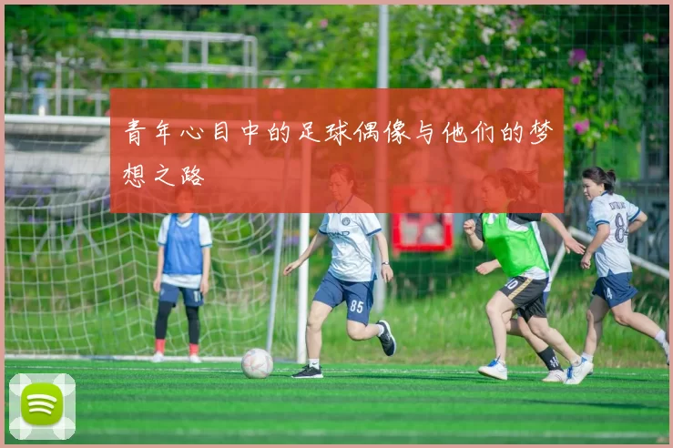 青年心目中的足球偶像与他们的梦想之路