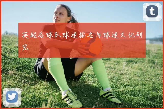 英超各球队球迷排名与球迷文化研究