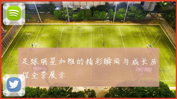 足球明星加维的精彩瞬间与成长历程全景展示