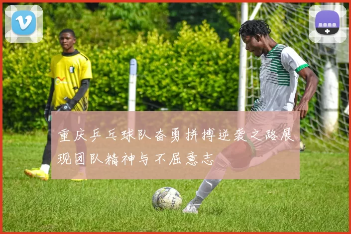 重庆乒乓球队奋勇拼搏逆袭之路展现团队精神与不屈意志