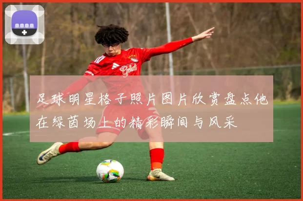 足球明星格子照片图片欣赏盘点他在绿茵场上的精彩瞬间与风采