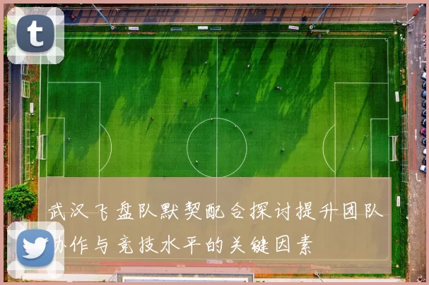 武汉飞盘队默契配合探讨提升团队协作与竞技水平的关键因素