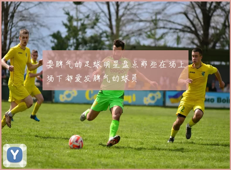 耍脾气的足球明星盘点那些在场上场下都爱发脾气的球员