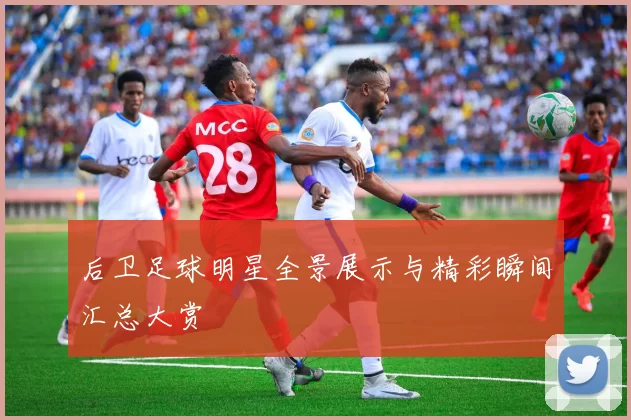 后卫足球明星全景展示与精彩瞬间汇总大赏