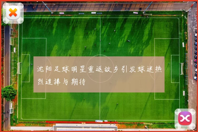 沈阳足球明星重返故乡引发球迷热烈追捧与期待