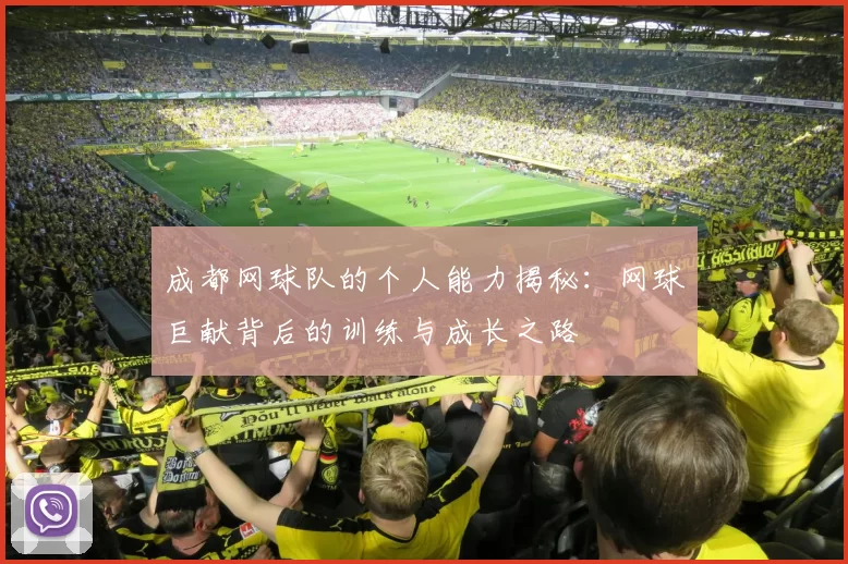 成都网球队的个人能力揭秘：网球巨献背后的训练与成长之路