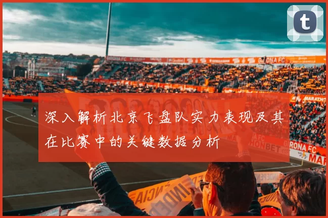 深入解析北京飞盘队实力表现及其在比赛中的关键数据分析