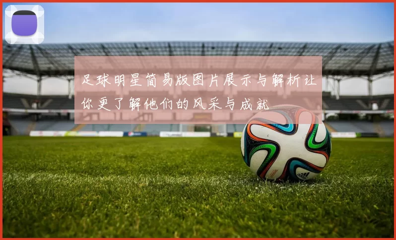 足球明星简易版图片展示与解析让你更了解他们的风采与成就