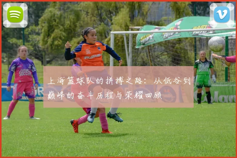 上海篮球队的拼搏之路：从低谷到巅峰的奋斗历程与荣耀回顾