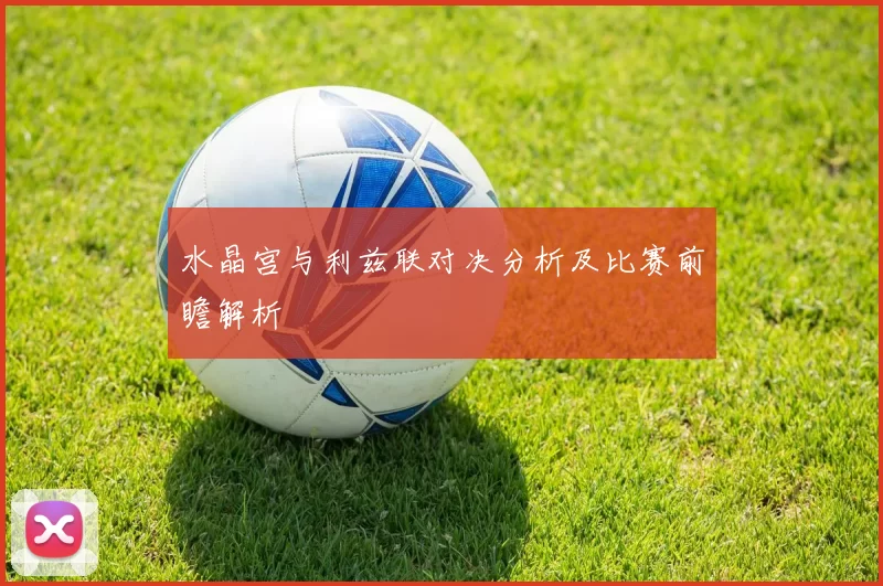 水晶宫与利兹联对决分析及比赛前瞻解析